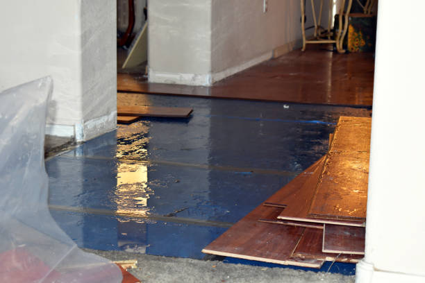 Professional Basement Flood Cleanup technician working in Dousman, WI